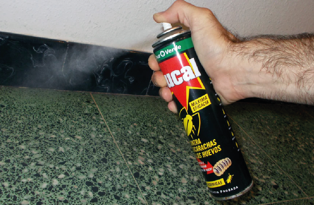 PRODUCTOS (3)